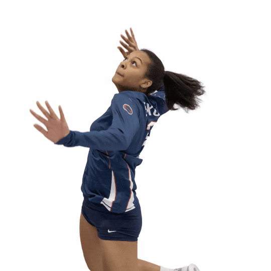 Screen Shot 2024-03-01 at 2.13.10 PM